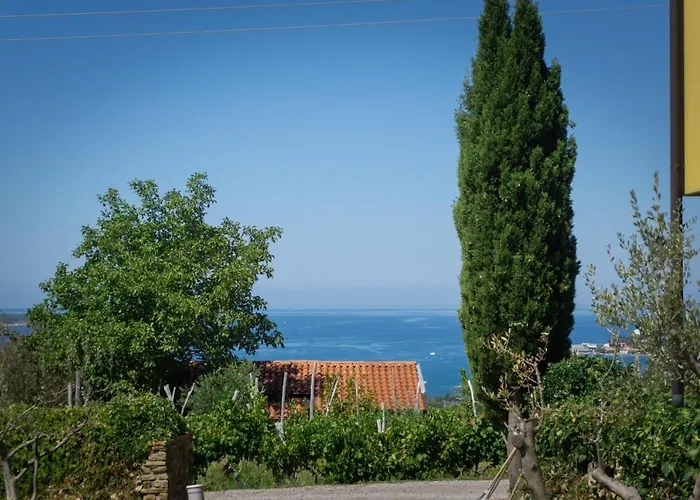 Lejlighed Punta Malija *